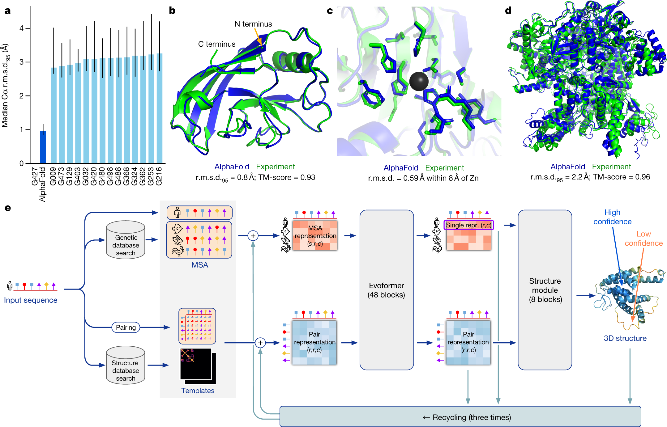 AlphaFold 2 protein structure predictions showing remarkable accuracy on the CASP14 dataset